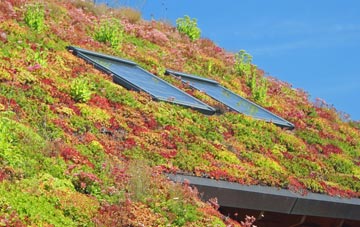 The Node living roof systems