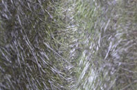 The Node fibreglass roof work